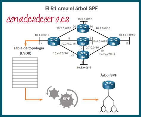 Diagrama que ilustra cómo el algoritmo SPF utiliza la LSDB para construir el árbol SPF