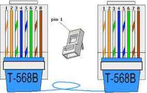 Diagrama de un cable Ethernet Cat5e con conectores RJ45 macho en cada extremo y un conector Keystone RJ45 hembra intermedio