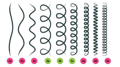 Diagrama de una hebra de cabello con rizos definidos por un activador
