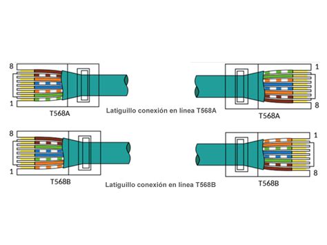 Diagrama de un conector RJ45 hembra