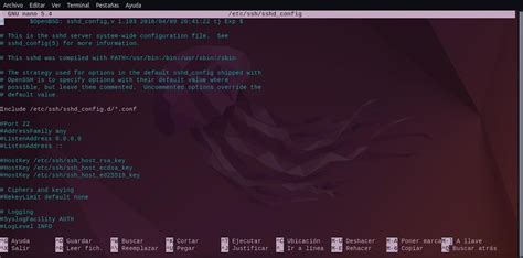 Captura de pantalla del archivo sshd_config mostrando la directiva ListenAddress