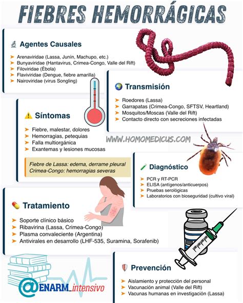 Infografía mostrando las diferentes vías de transmisión de las fiebres hemorrágicas virales