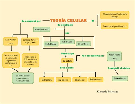 Mapa conceptual de los beneficios de un amplificador de señal celular