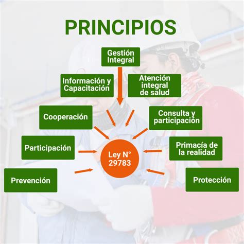 Diagrama conceptual de los principios de la Ley de Tramitación Electrónica