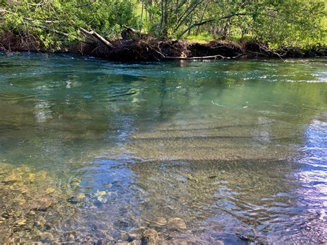 Vista panorámica del río Voipir rodeado de bosque nativo