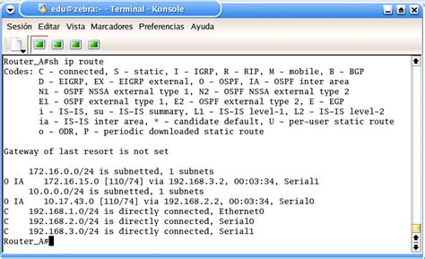 Ejemplo de salida del comando show ip route rip