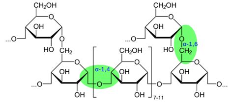 Diagrama de la estructura molecular del glucógeno