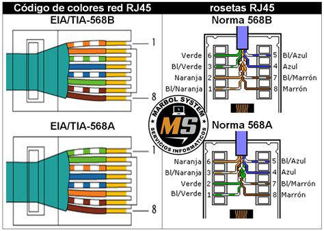 Roseta RJ45 con esquema de colores para el cableado