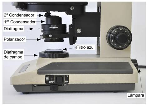 Ilustración de un sistema de enfoque coaxial en un microscopio