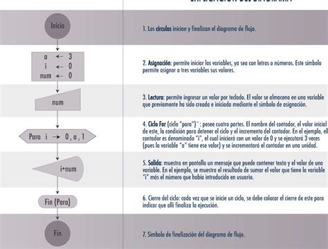 Diagrama de flujo de un ciclo universitario