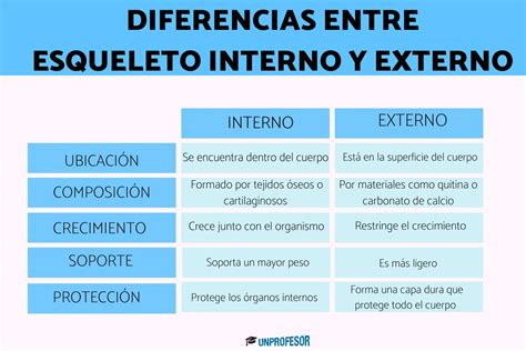 Diagrama comparativo de módem interno y externo