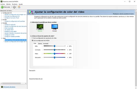 Captura de pantalla del panel de control de NVIDIA mostrando opciones de salida de video