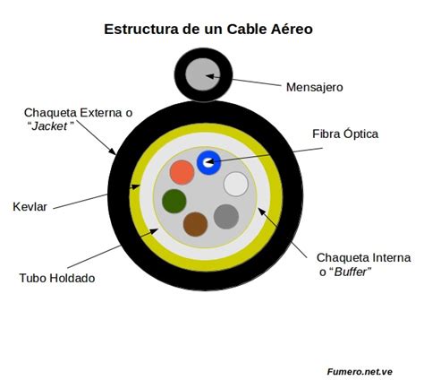 Estructura interna de un cable de red