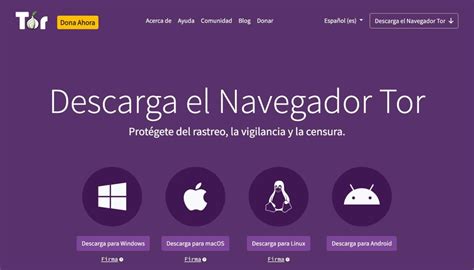 Ilustración del funcionamiento del navegador Tor