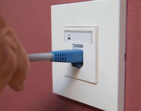 Roseta de pared Ethernet con cables conectados
