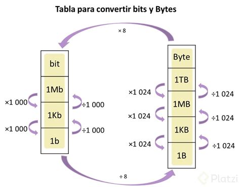 Ilustración mostrando la conversión de bits a bytes