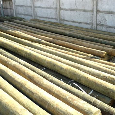 Polines de madera impregnada para cercados