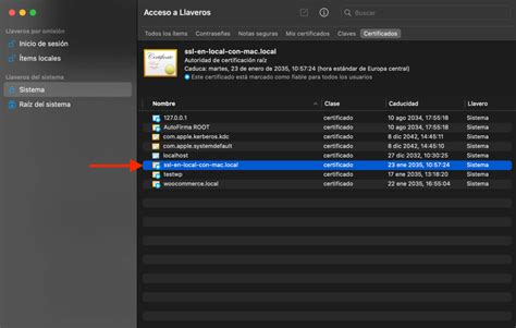 Interfaz de Acceso a Llaveros en macOS
