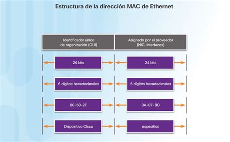 Infografía explicando la estructura de una dirección MAC