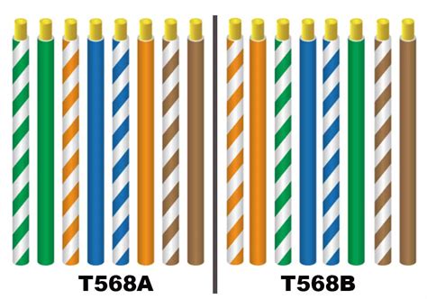 Conector RJ45 con hilos de colores ordenados
