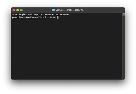 Captura de pantalla del Terminal de macOS mostrando el comando networkquality -v y sus resultados