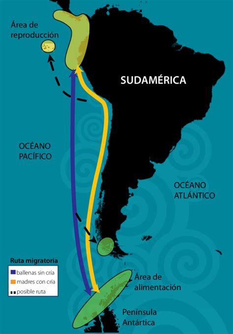 Mapa mostrando la ruta del cable Marea