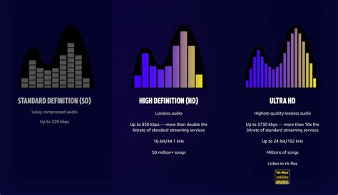 Ilustración de alta definición de video y audio multicanal