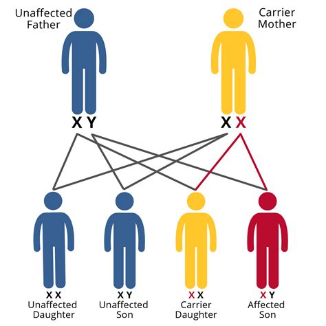 Diagrama ilustrando la diferencia entre EMI/RFI y Crosstalk