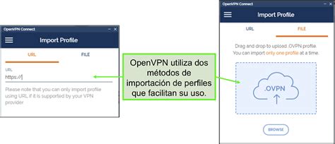 Captura de pantalla mostrando la interfaz de configuración de OpenVPN