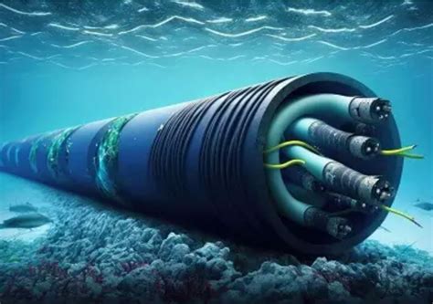 Fotografía de un cable de fibra óptica submarino