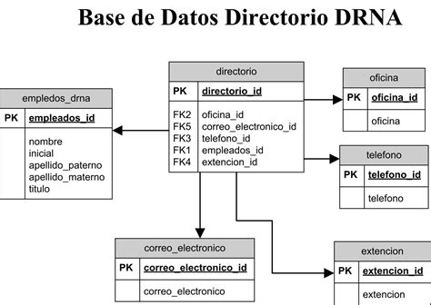 Diagrama que ilustra la estructura de una base de datos de Access con ejemplos de nombres de objetos y campos, resaltando los caracteres especiales problemáticos.