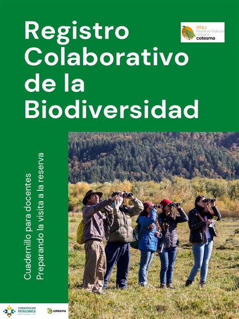 Docentes preparando sus currículums