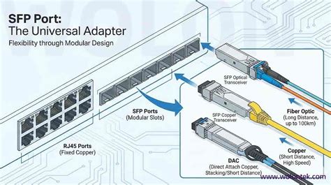 Diagrama de un módulo SFP insertado en un puerto de switch