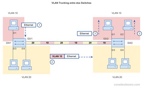 Diagrama explicando el proceso de VLAN tagging entre dos switches