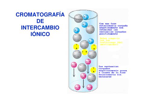 Diagrama de cromatografía de intercambio iónico