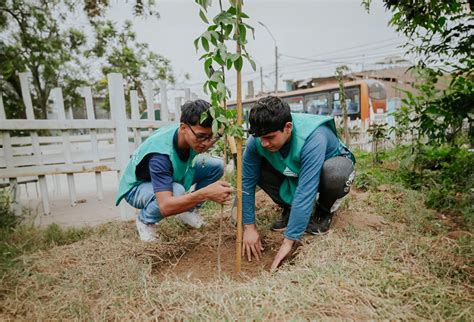 estudiantes plantando un árbol