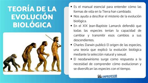 Diagrama de la evolución de las GPUs Adreno